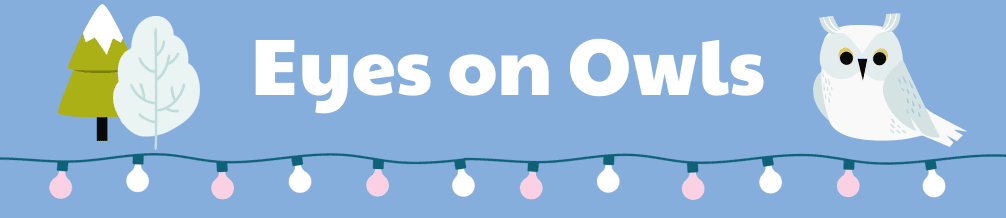 eyes on owls header
