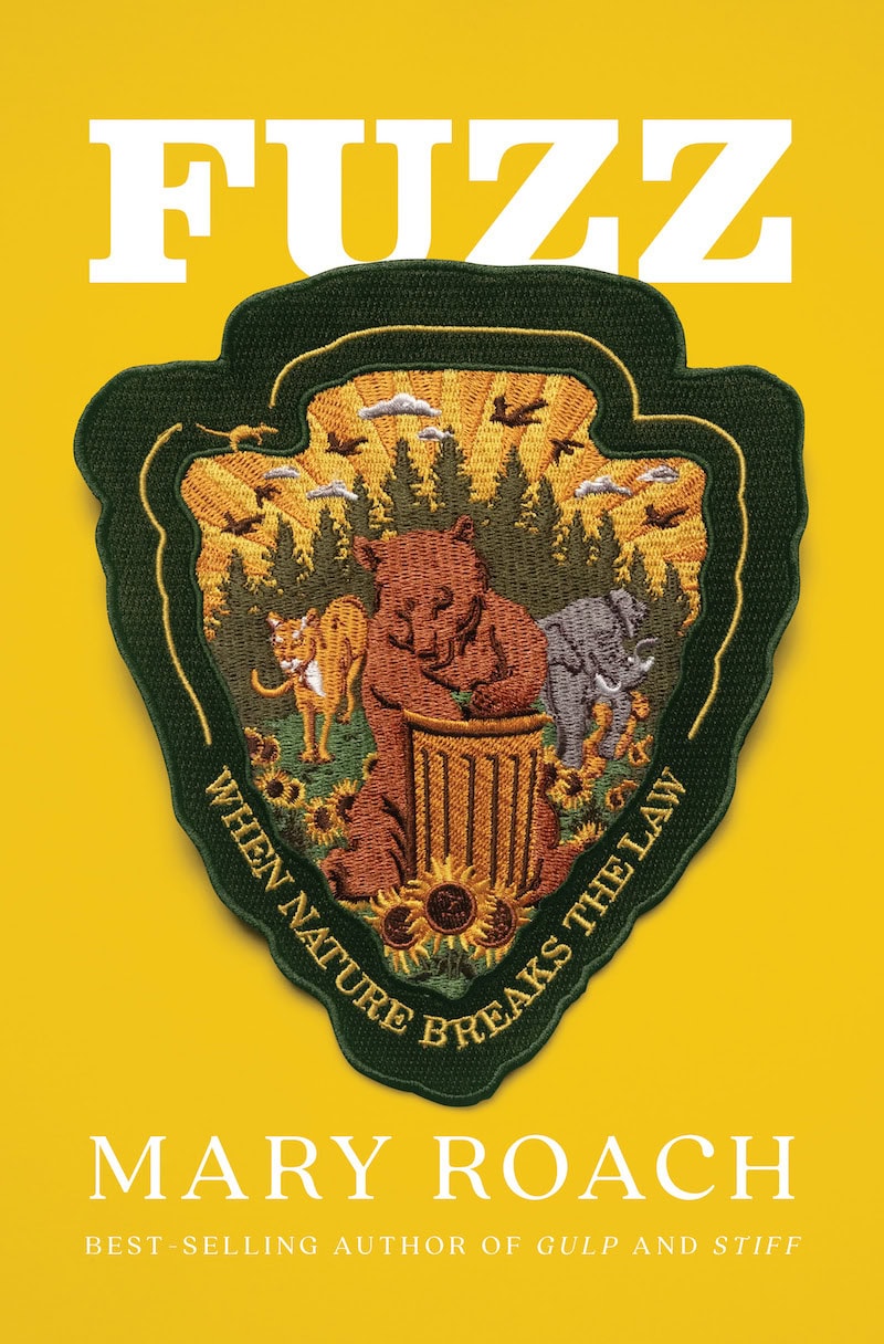 fuzz when nature breaks the law